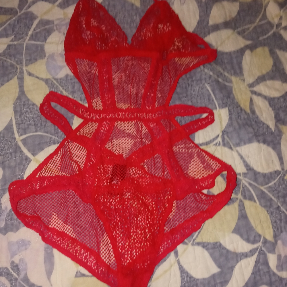 Beautiful Lace & Fish net VS lingerie